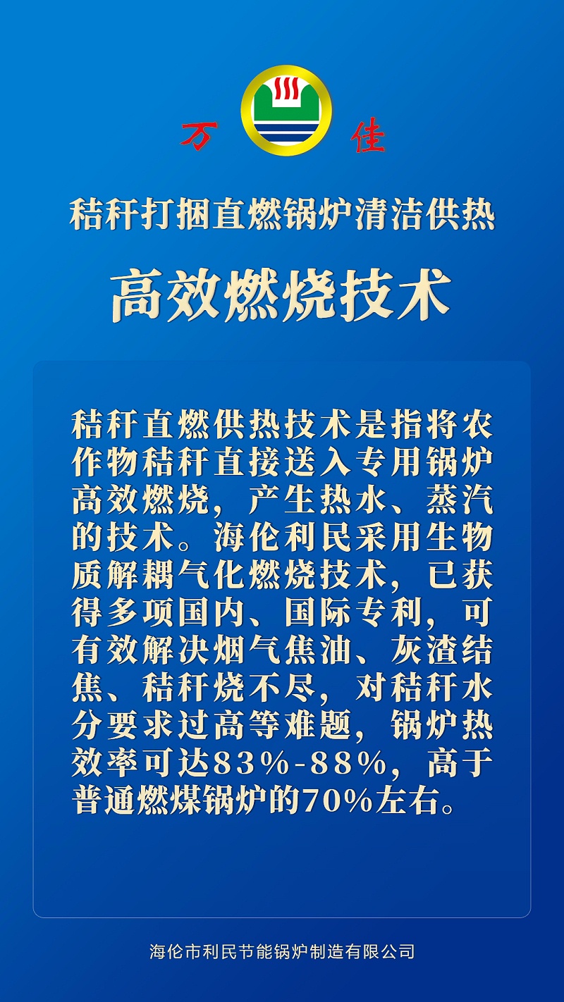 秸稈打捆直燃鍋爐 秸稈打捆直燃鍋爐