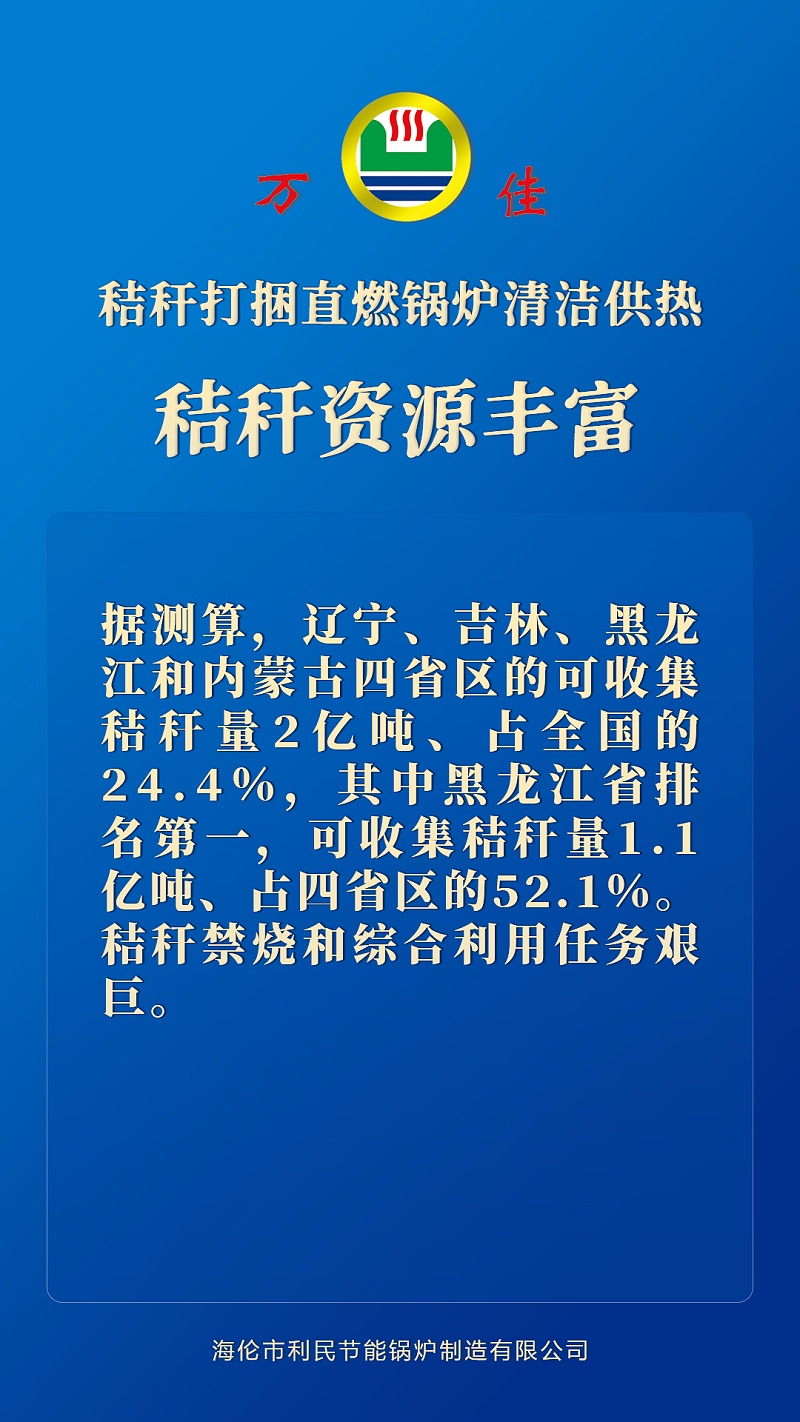秸稈打捆直燃鍋爐 秸稈打捆直燃鍋爐