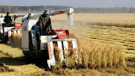 秸稈大包鍋爐 秸稈大包鍋爐