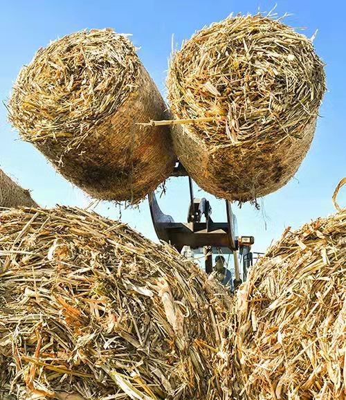 秸稈捆燒鍋爐 秸稈捆燒鍋爐