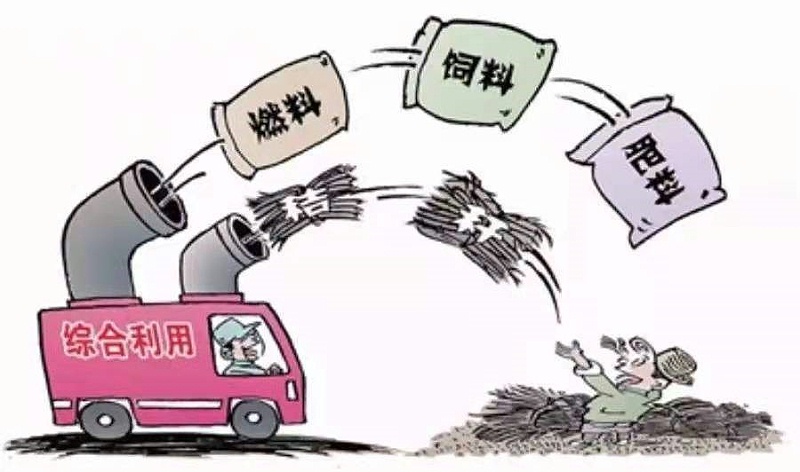 生物質(zhì)鍋爐 生物質(zhì)鍋爐