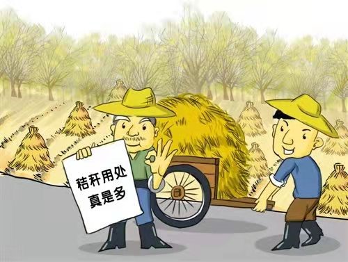 秸稈打捆直燃鍋爐 秸稈打捆直燃鍋爐