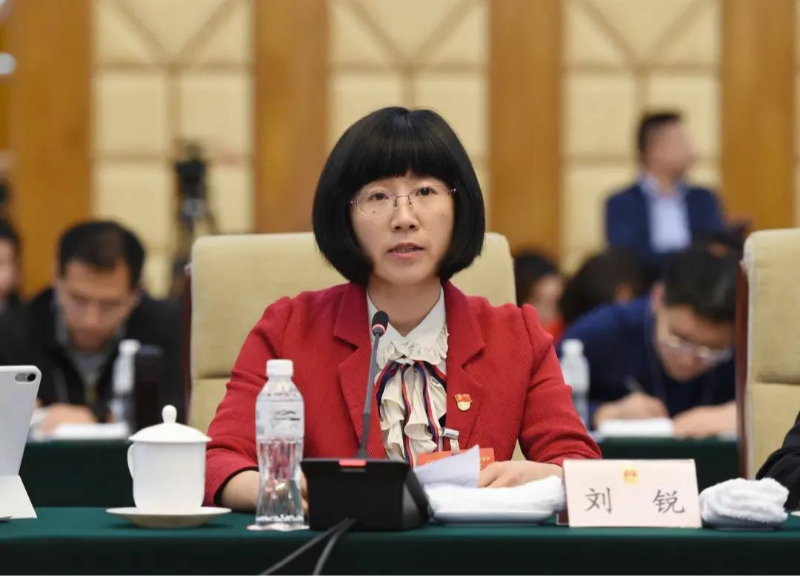 秸稈打捆直燃鍋爐 秸稈打捆直燃鍋爐