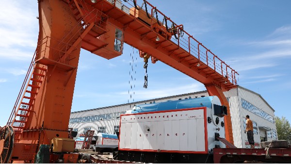 黑龍江生物質(zhì)鍋爐廠(chǎng)家