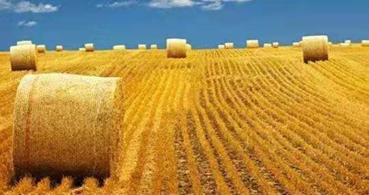 秸稈打捆直燃鍋爐 秸稈打捆直燃鍋爐