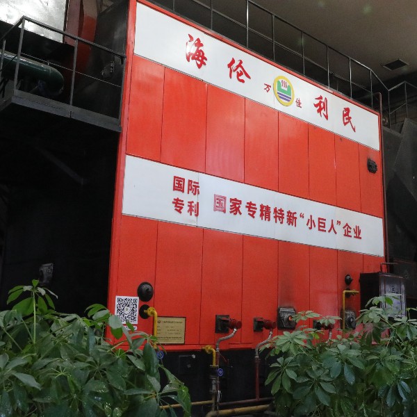 CLSH型民用生物質(zhì)節(jié)能環(huán)保鍋爐 CLSH型民用生物質(zhì)節(jié)能環(huán)保鍋爐