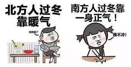 生物質(zhì)能清潔取暖 生物質(zhì)能清潔取暖