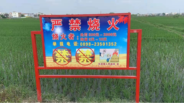 秸稈大包鍋爐 秸稈大包鍋爐