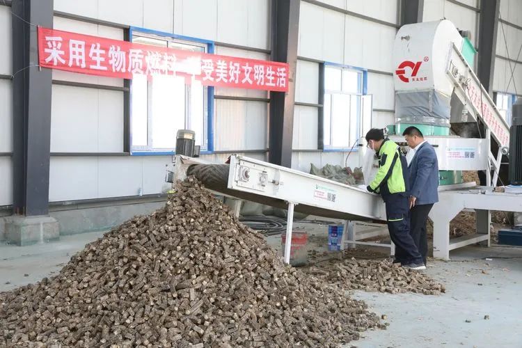 生物質(zhì)鍋爐用成型燃料 生物質(zhì)鍋爐用成型燃料
